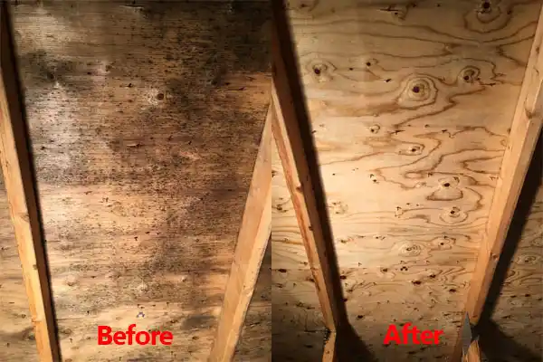 water damage restoration service Cheviot